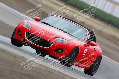 media/Jul-31-2022-Speed Ventures (Sun) [[bfb4b6530b]]/Black Group/Grapevine/